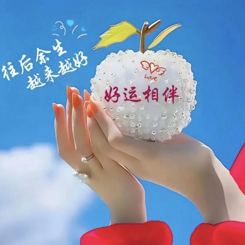 辉 辉 甄选