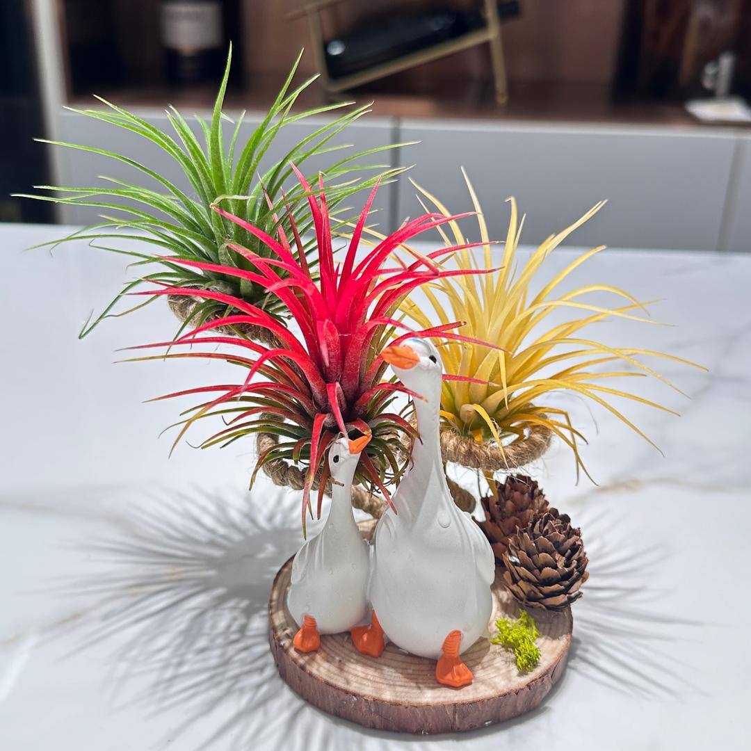 厦门市集美区潼之缘日用品店