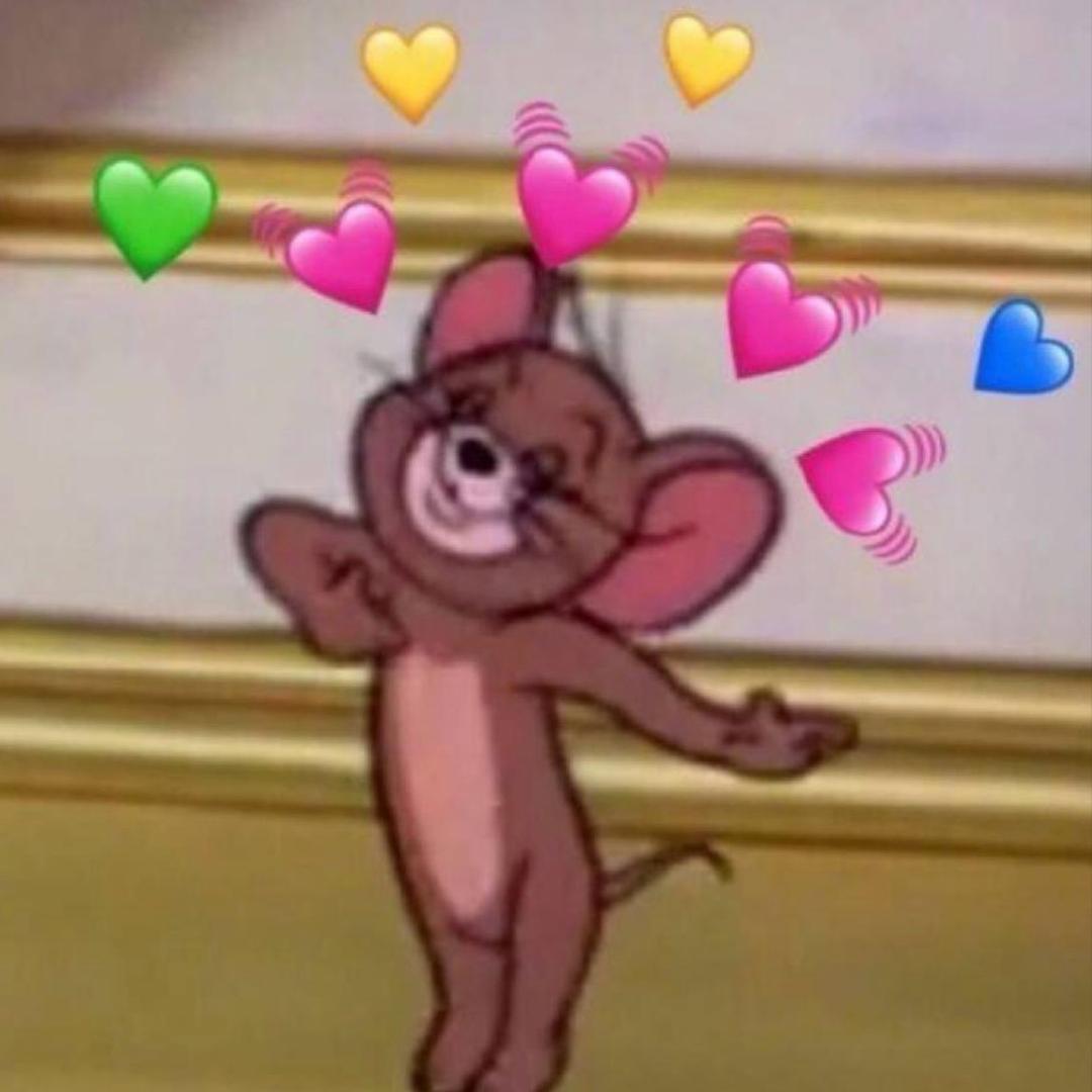 🐱C