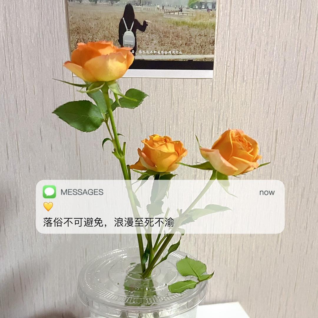 小仙女金阿金