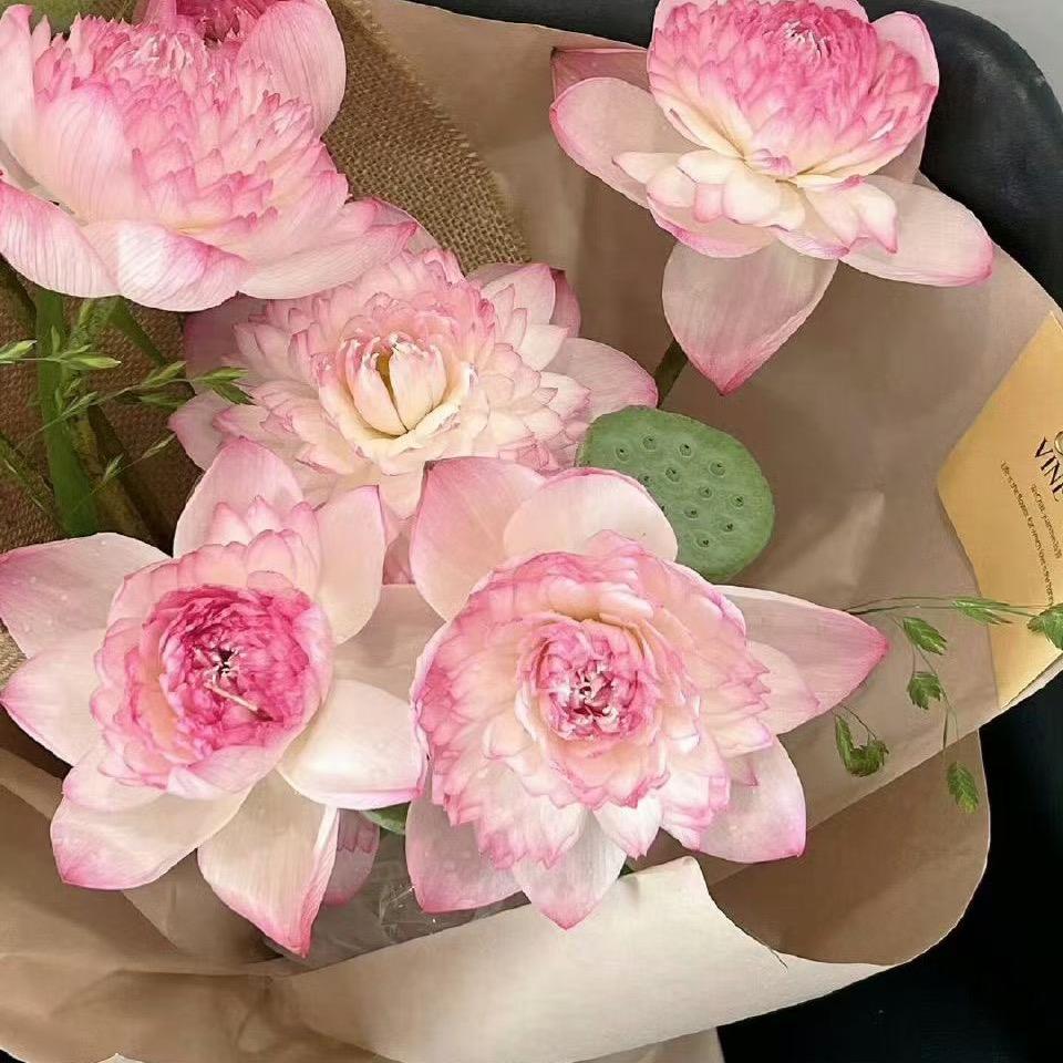 萍❤️