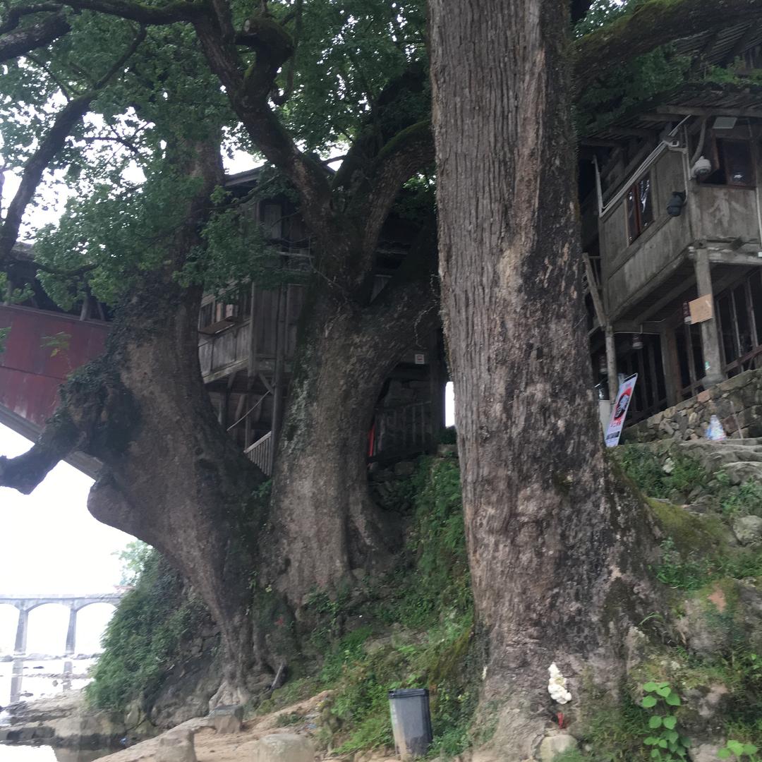 用户7547371177867雨停虹现