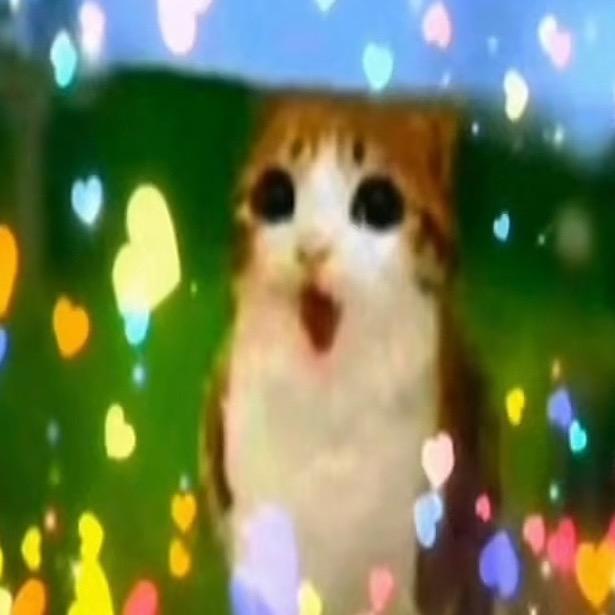 夏以扔的大昼子