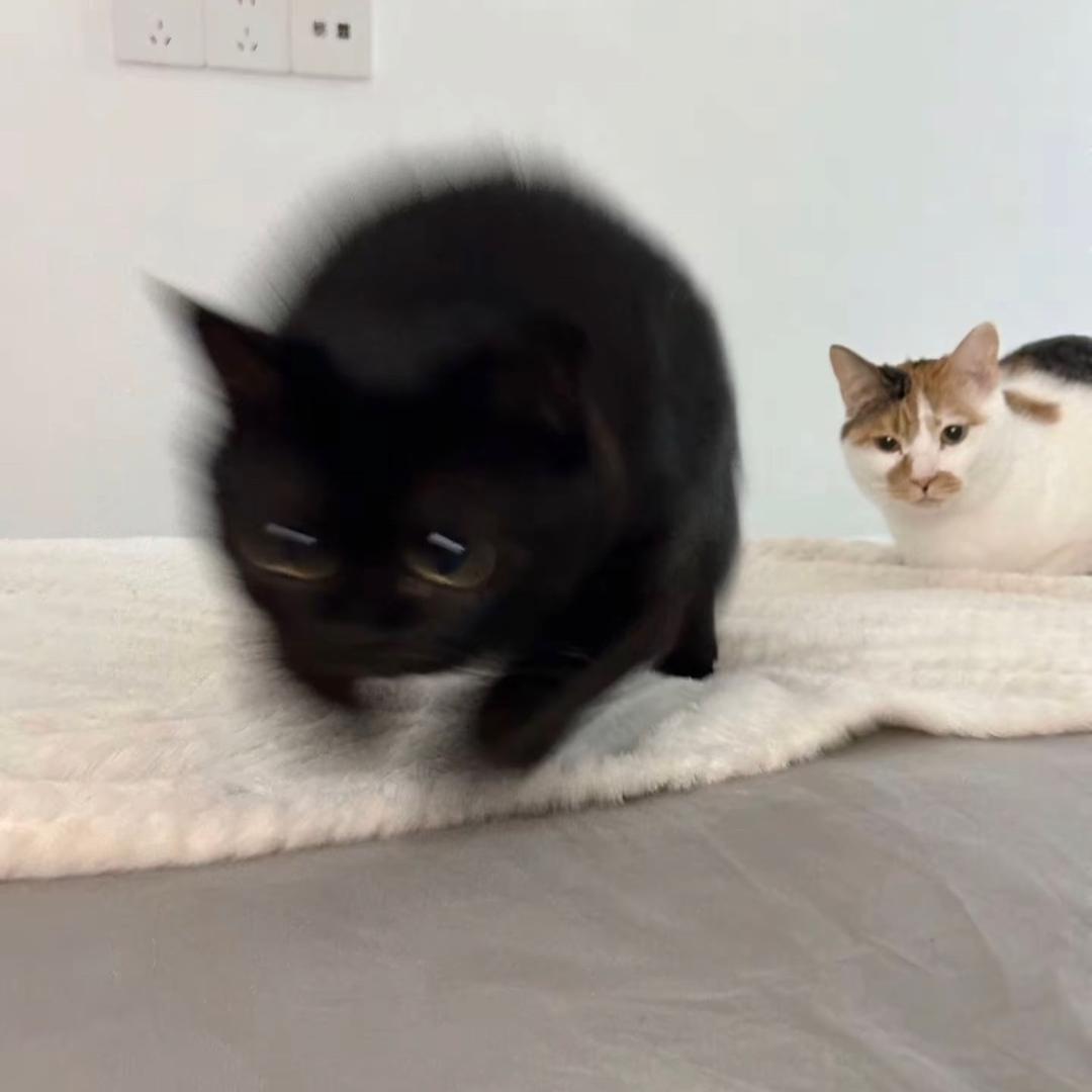 脏舔舔