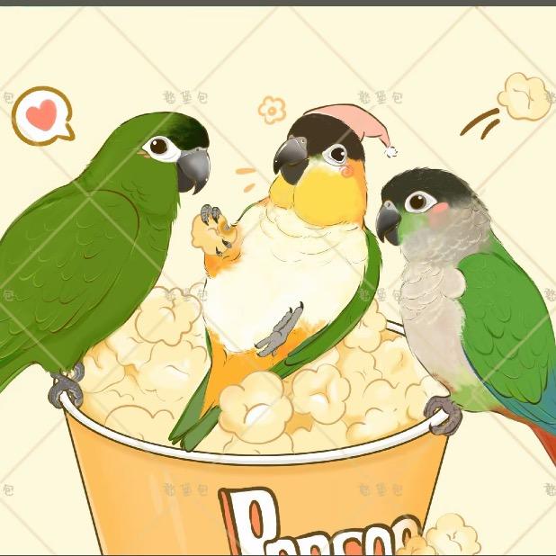 乔帮主玩鸟