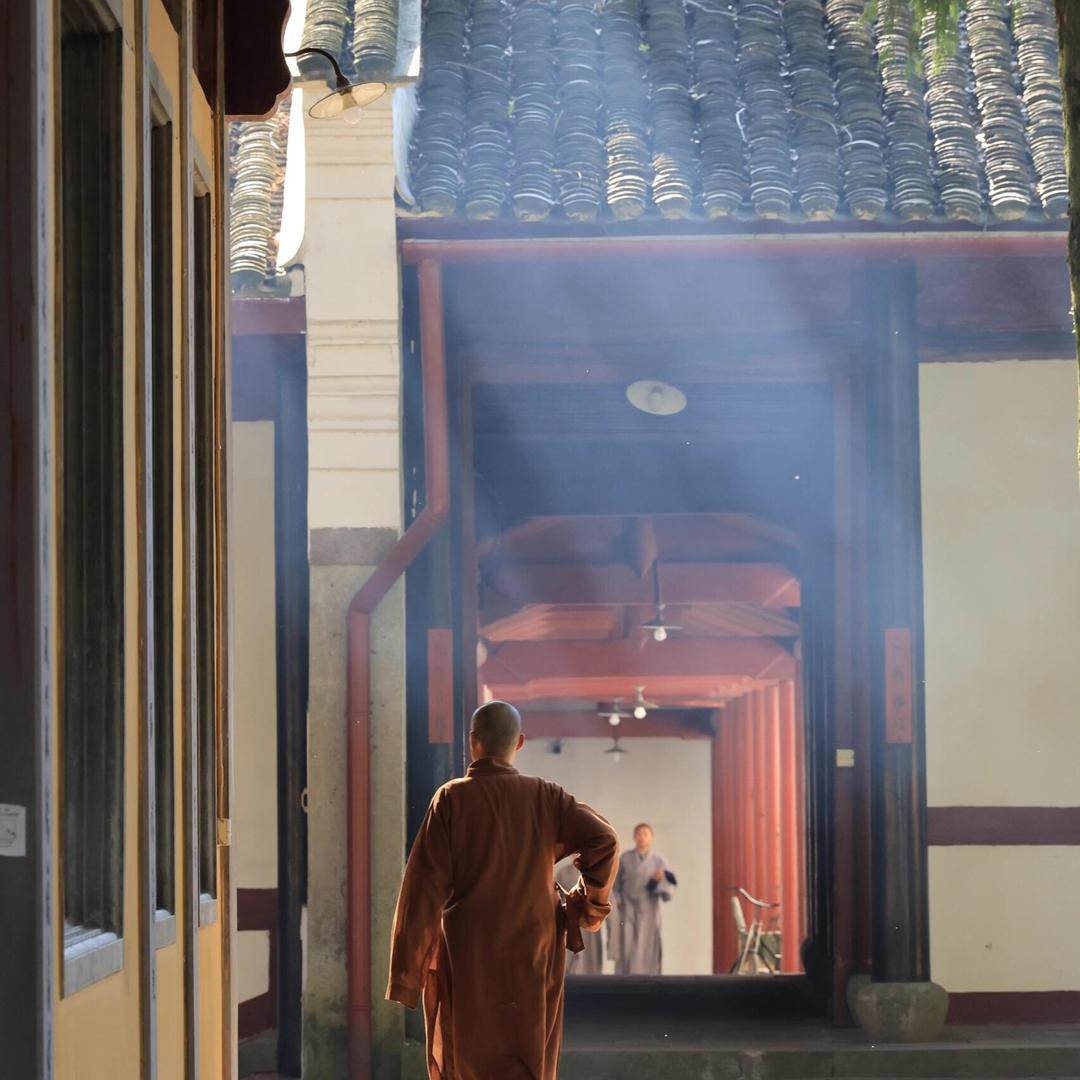 善行（关注-點灯）