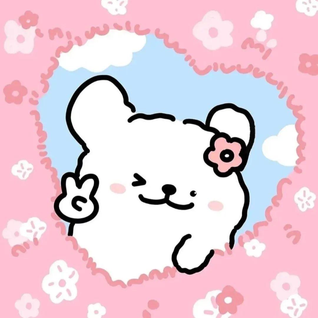 桂美丽🐰