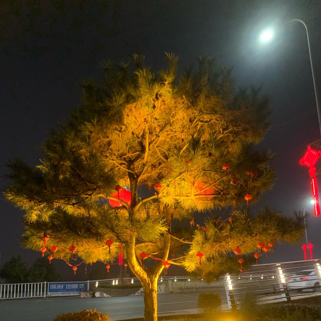 快乐崇拜