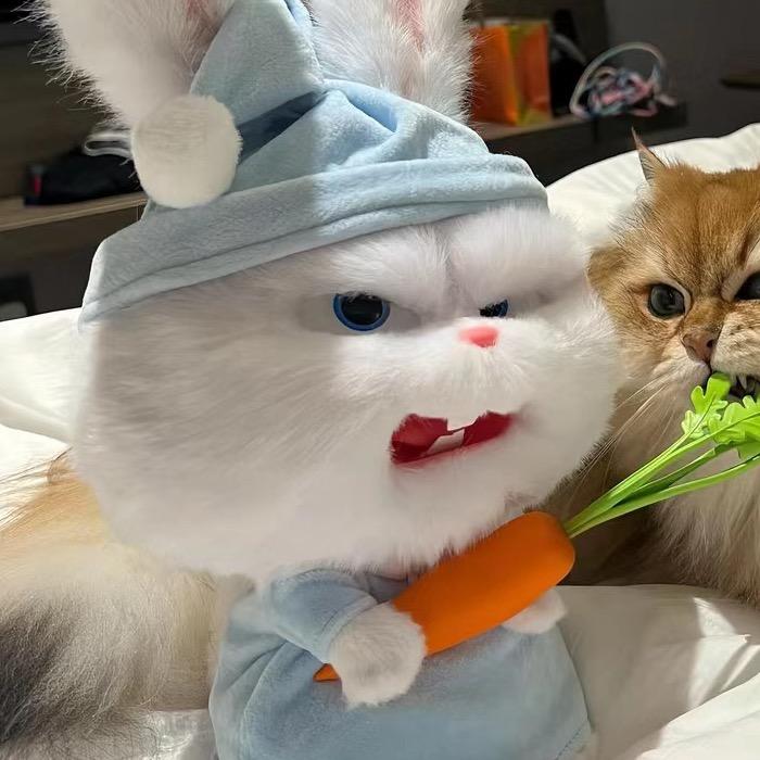 吱一吱