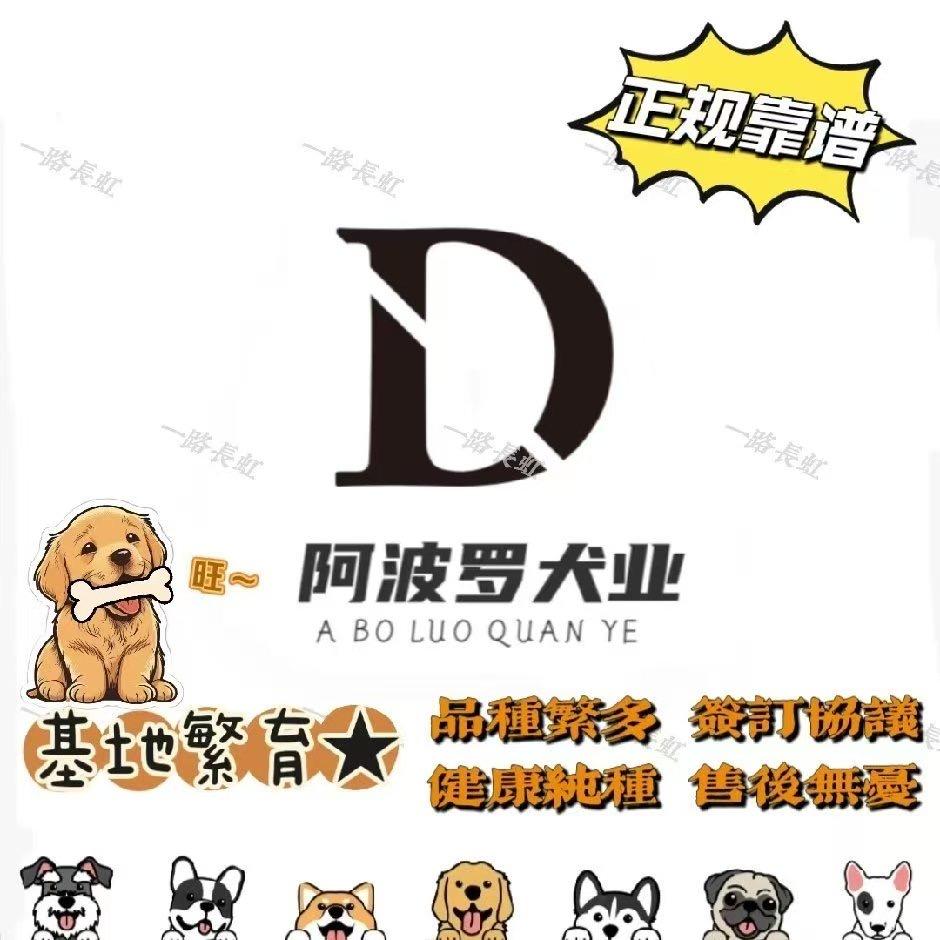 阿波罗犬业