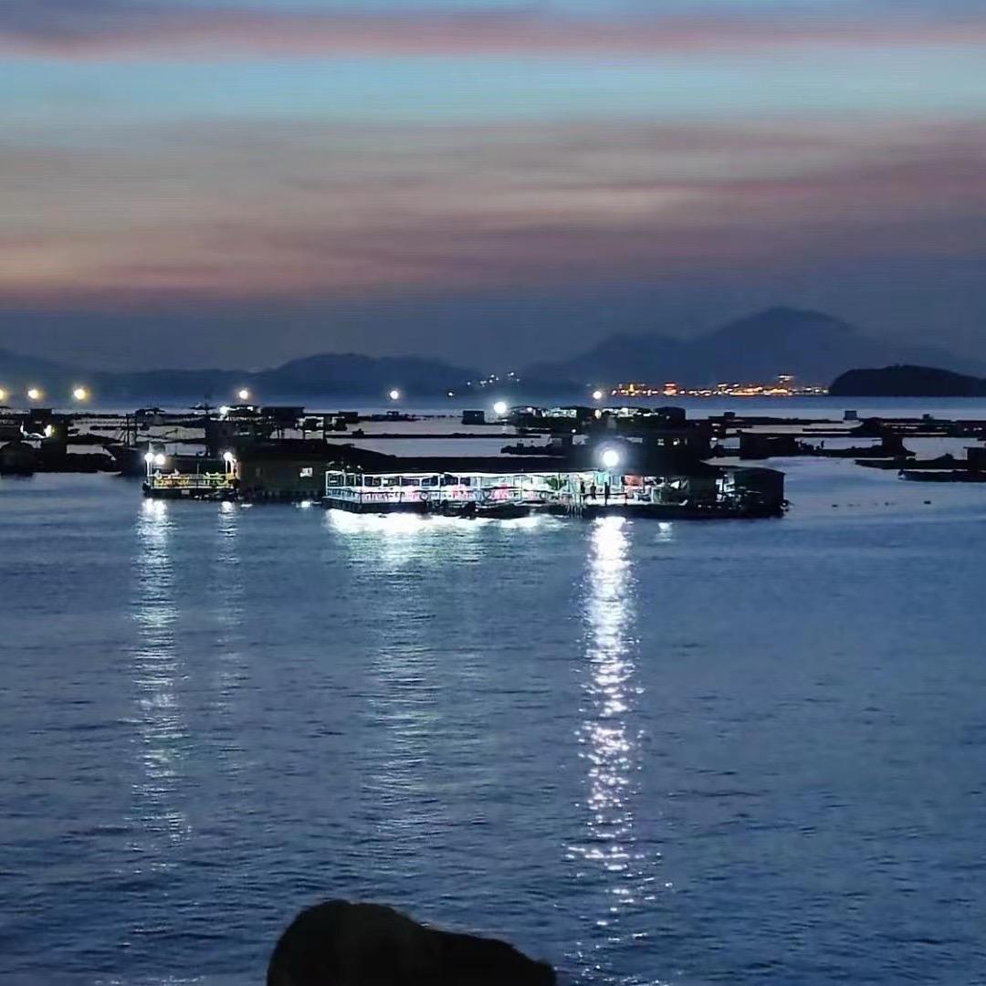 📸胖吉是只🐱