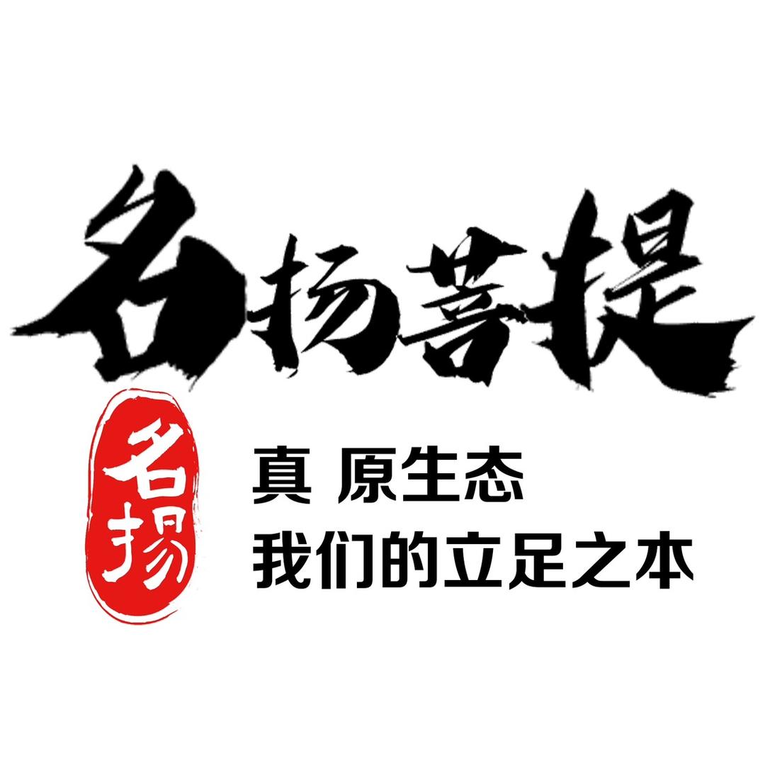 名扬|定制LIVE