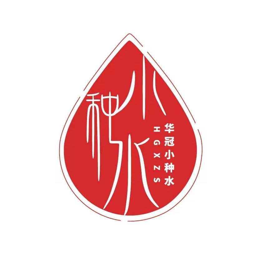 华冠小种水