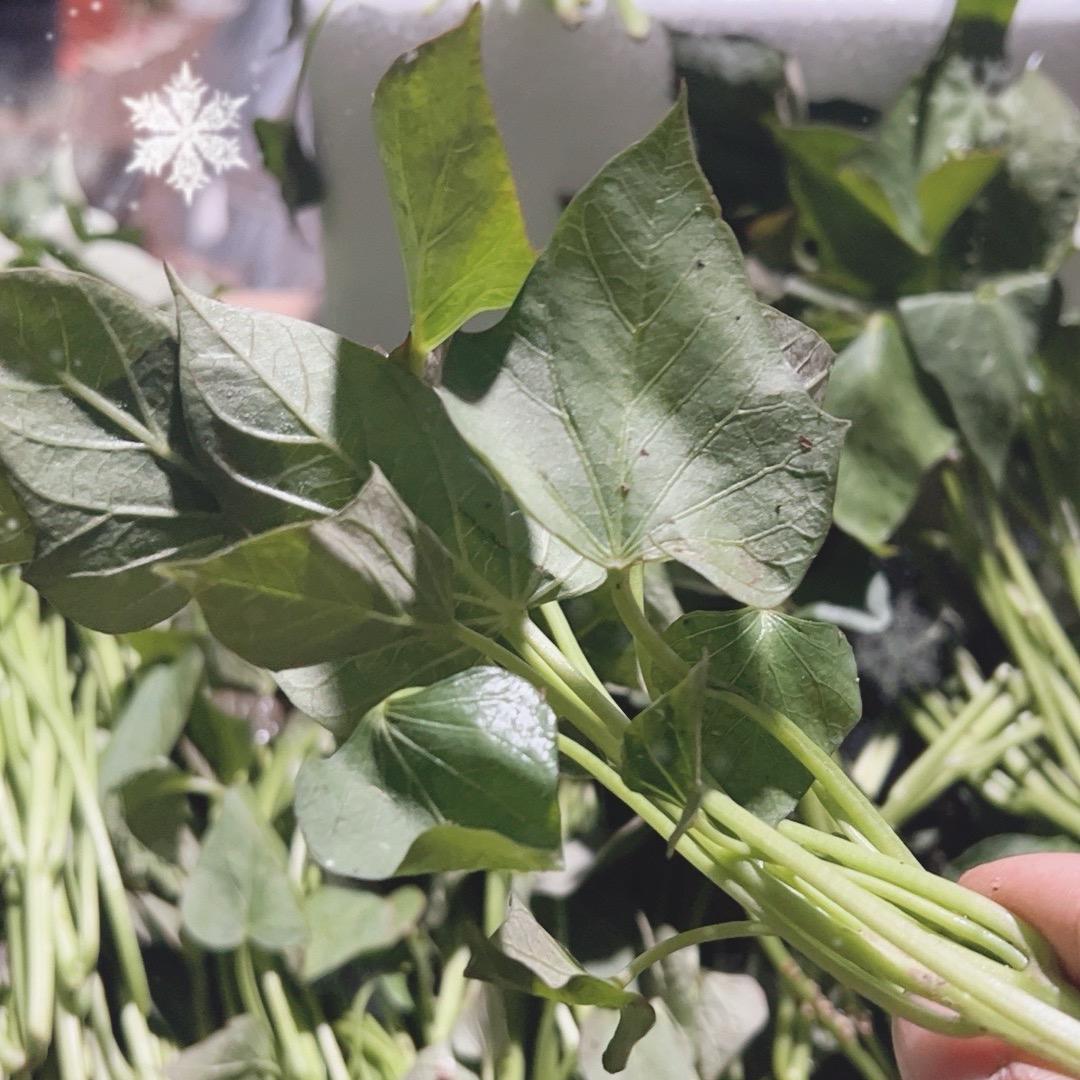 轩之涵花卉果蔬坊
