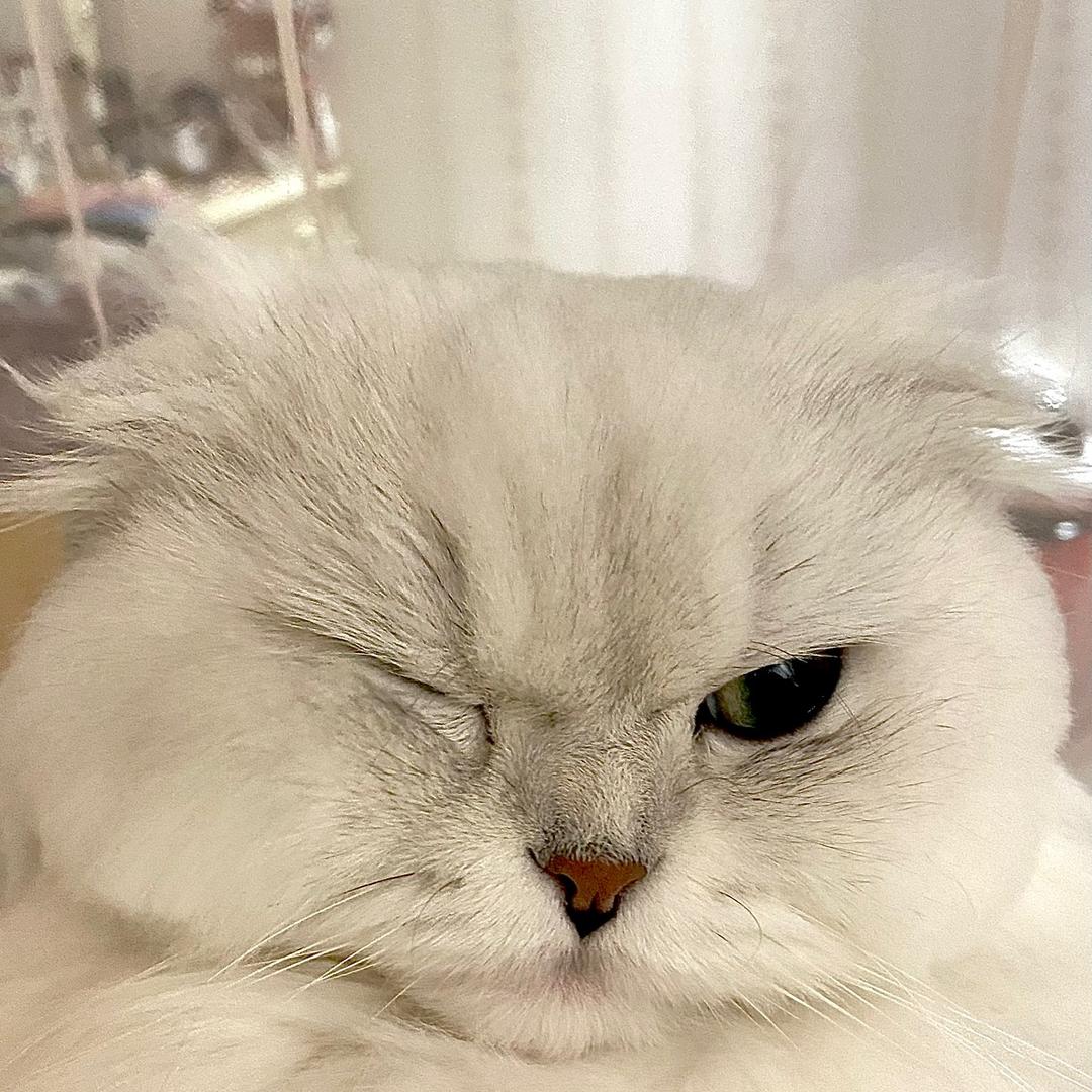 粥一样