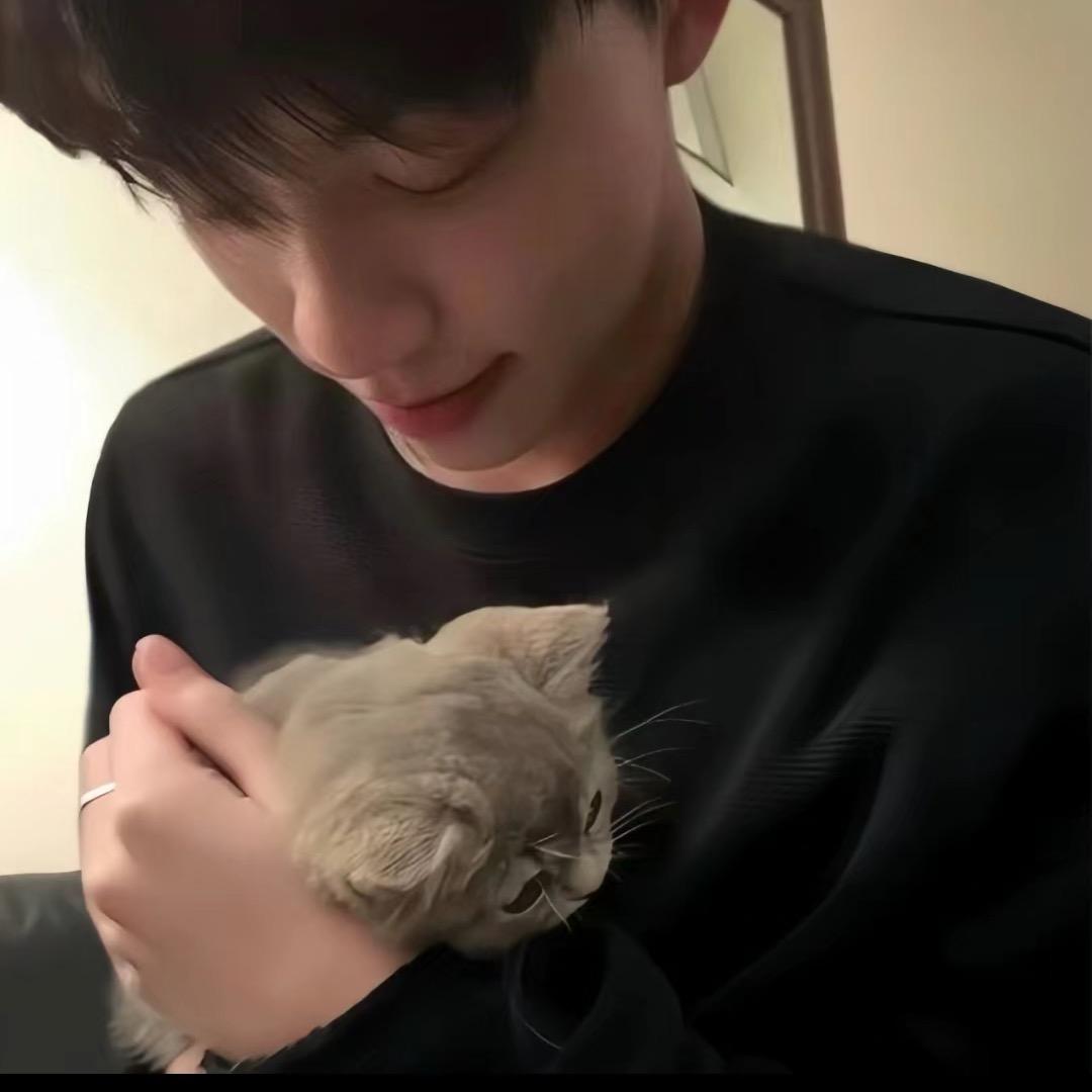 小瓦匠不砌墙🧱