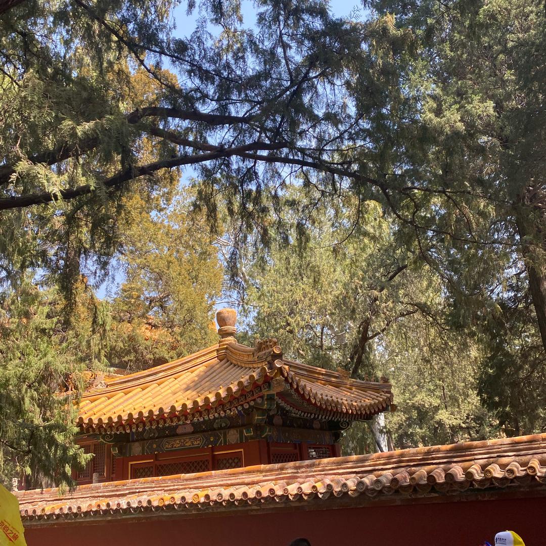 最好的八月