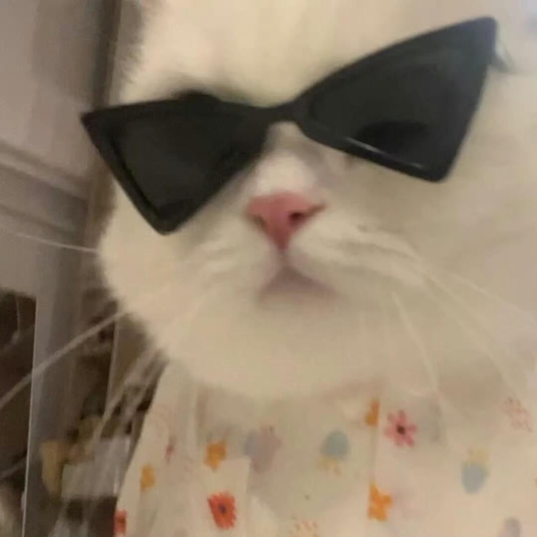 一圈