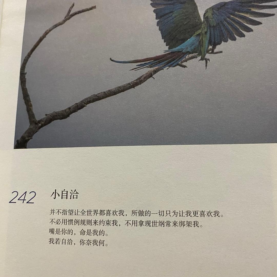 二哥优选