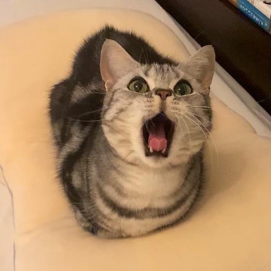 十点醒