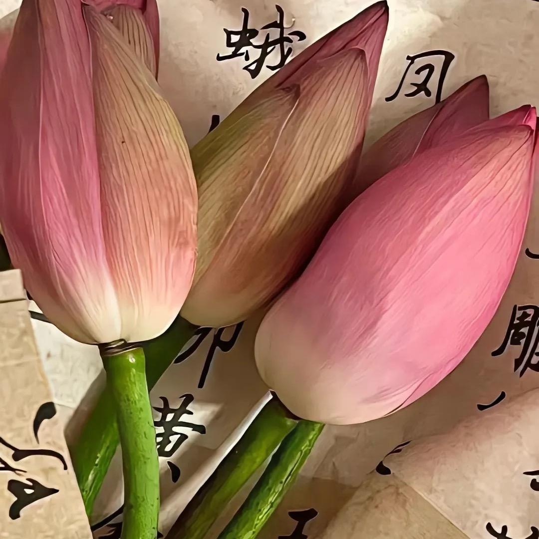 上上签..