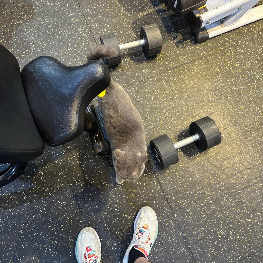 老子可是懒大王