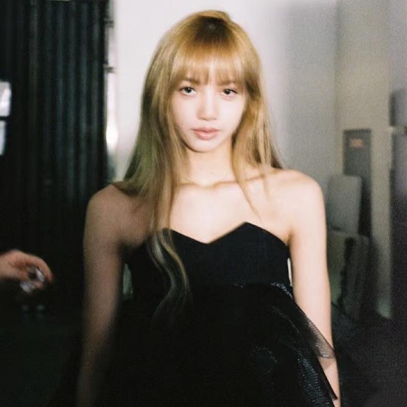 -杉菜