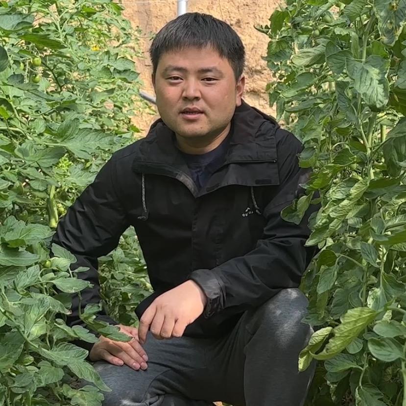 萃盛农业苏老师讲蔬菜