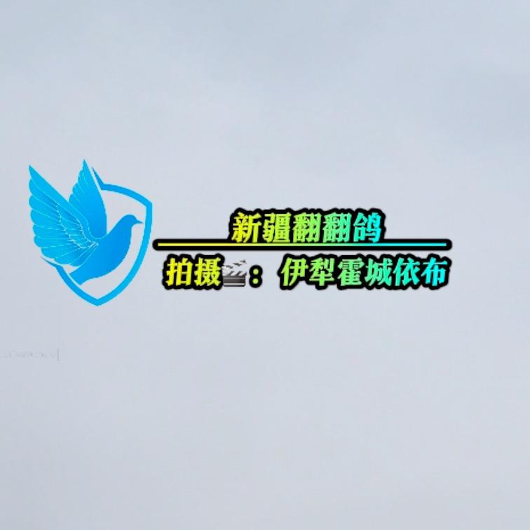 新疆翻翻拍摄依布🇨🇳