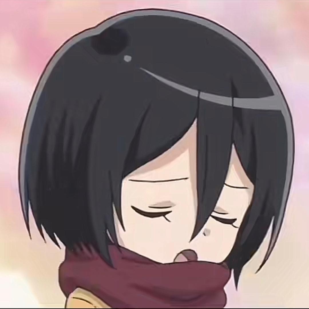 Mikasa