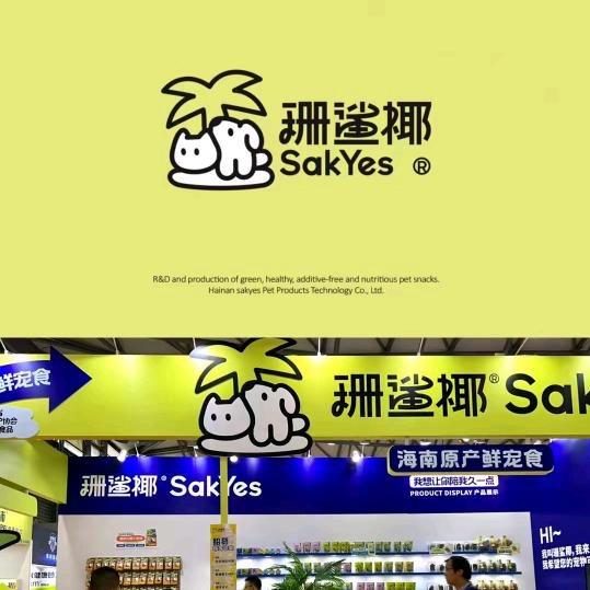 小鲨鱼