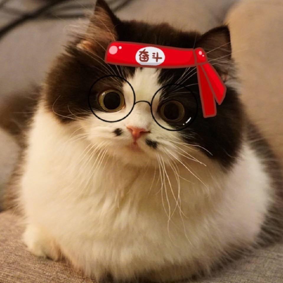 花梨ちゃん