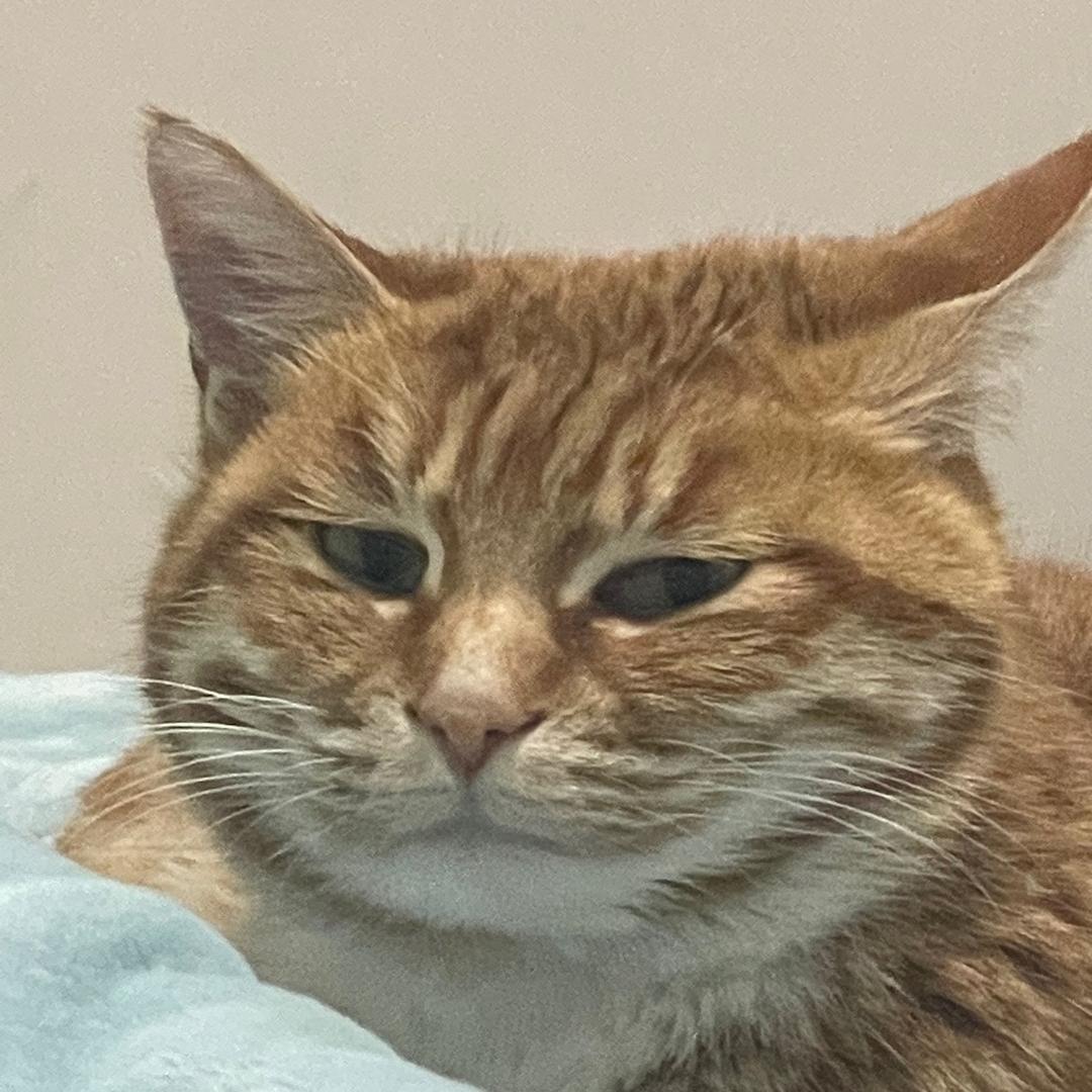 一路顺风.
