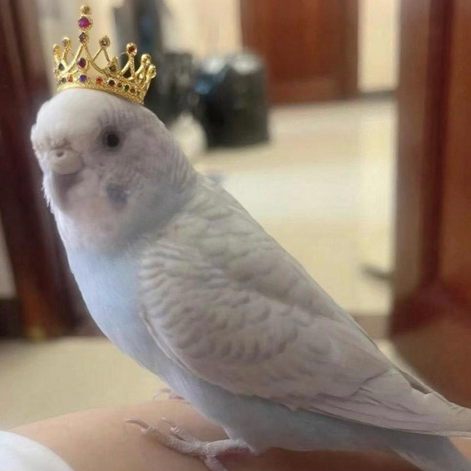逆子来啦！