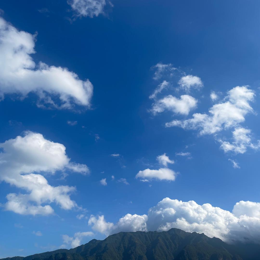 米欧科小主持小橘老师（教学顾问)