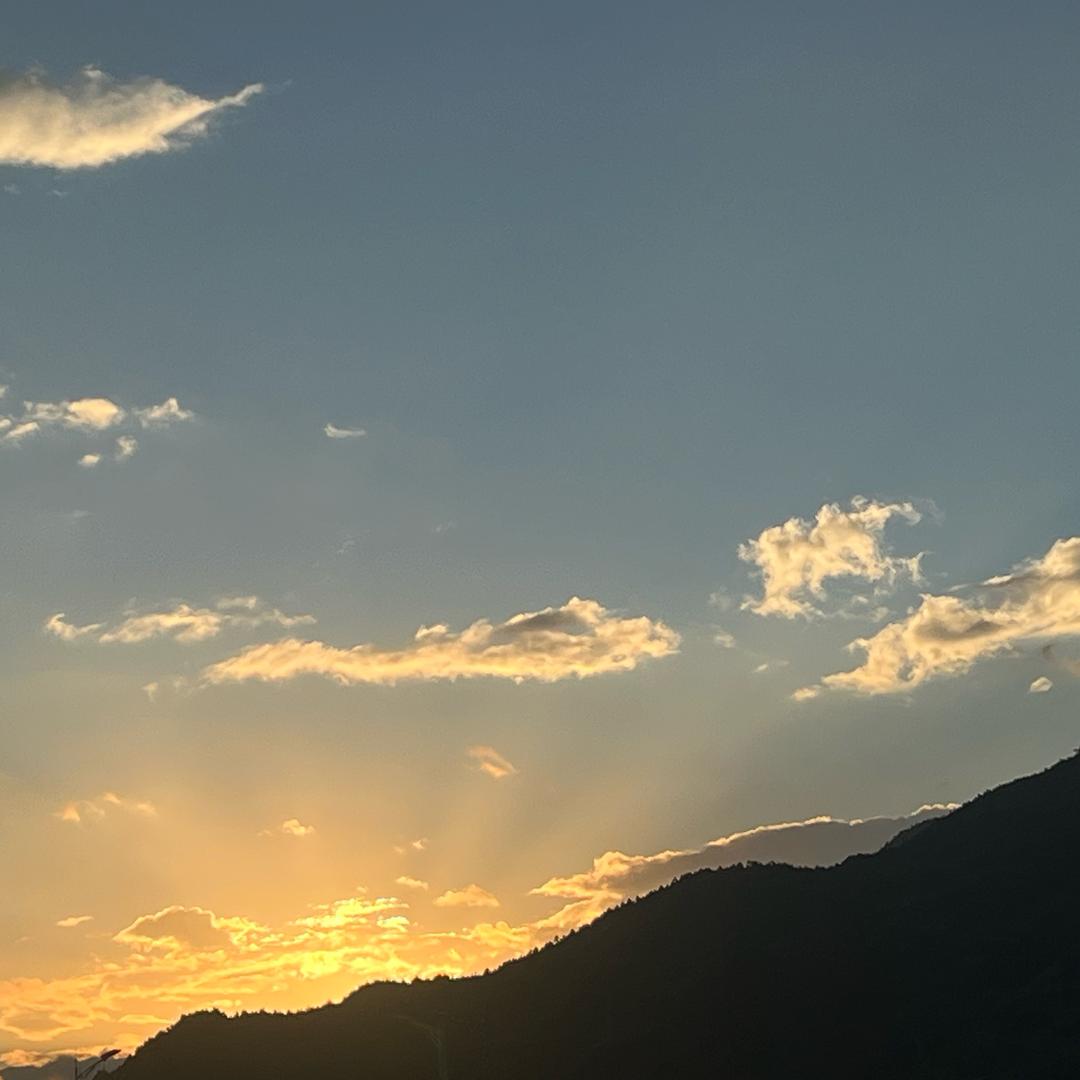 钛菜钛爱玩-回关