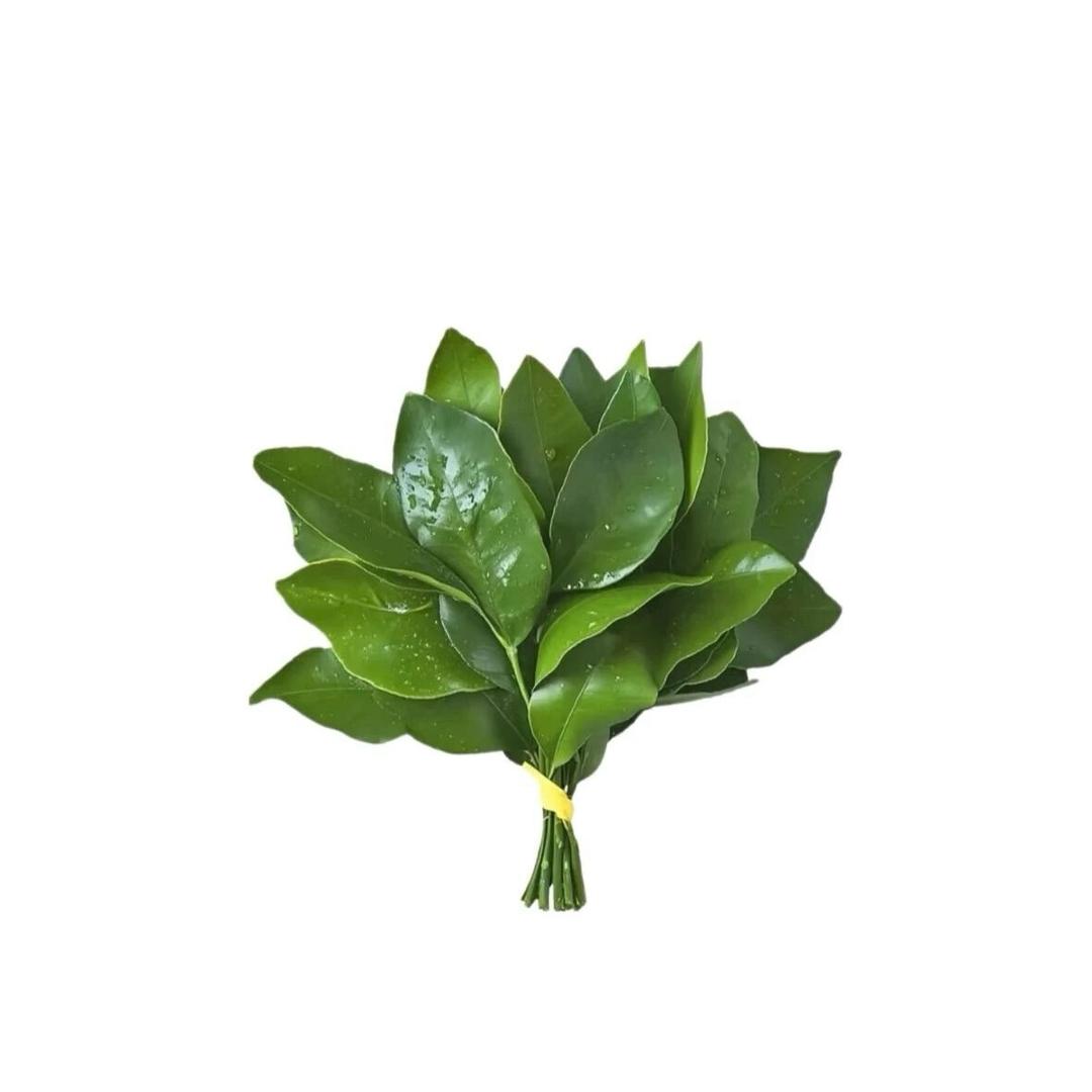 清秋