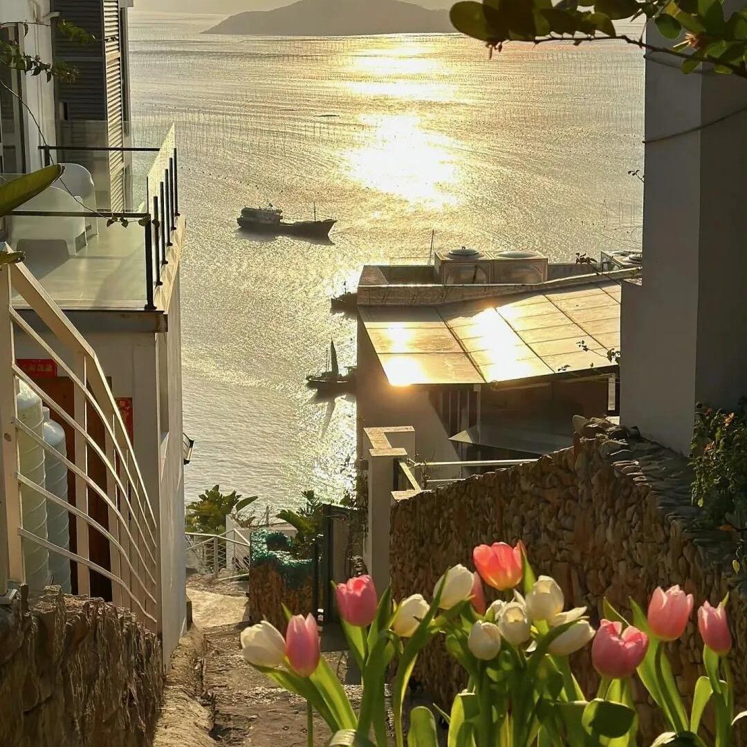 小羊一路喵喵喵