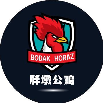 胖墩公鸡
