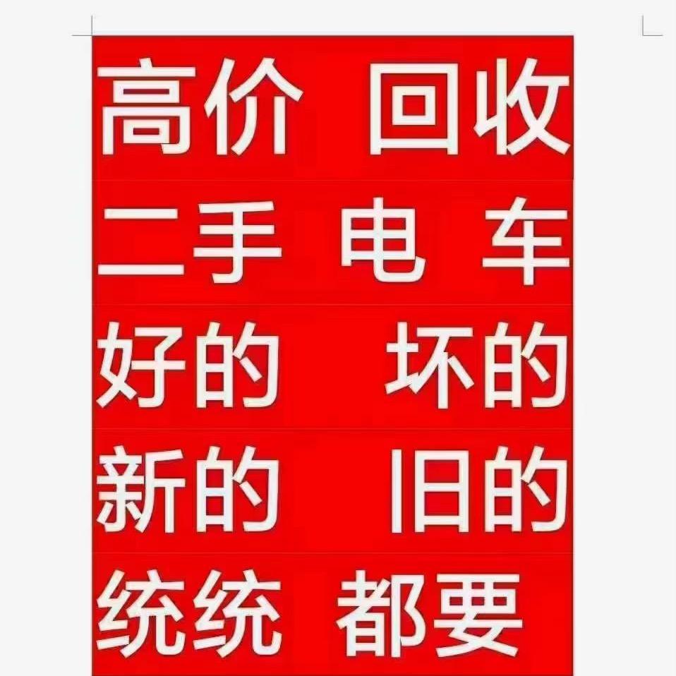 满劲精修电动车