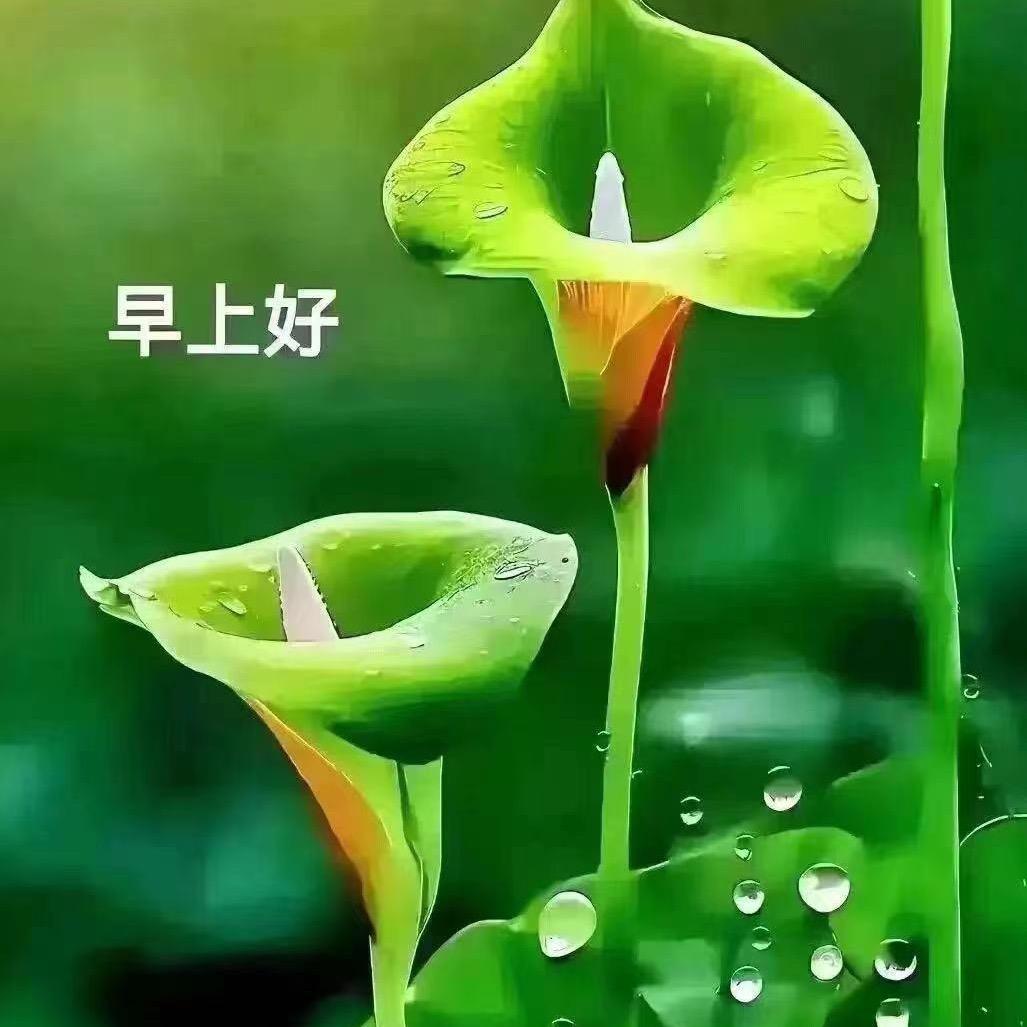 书香世家