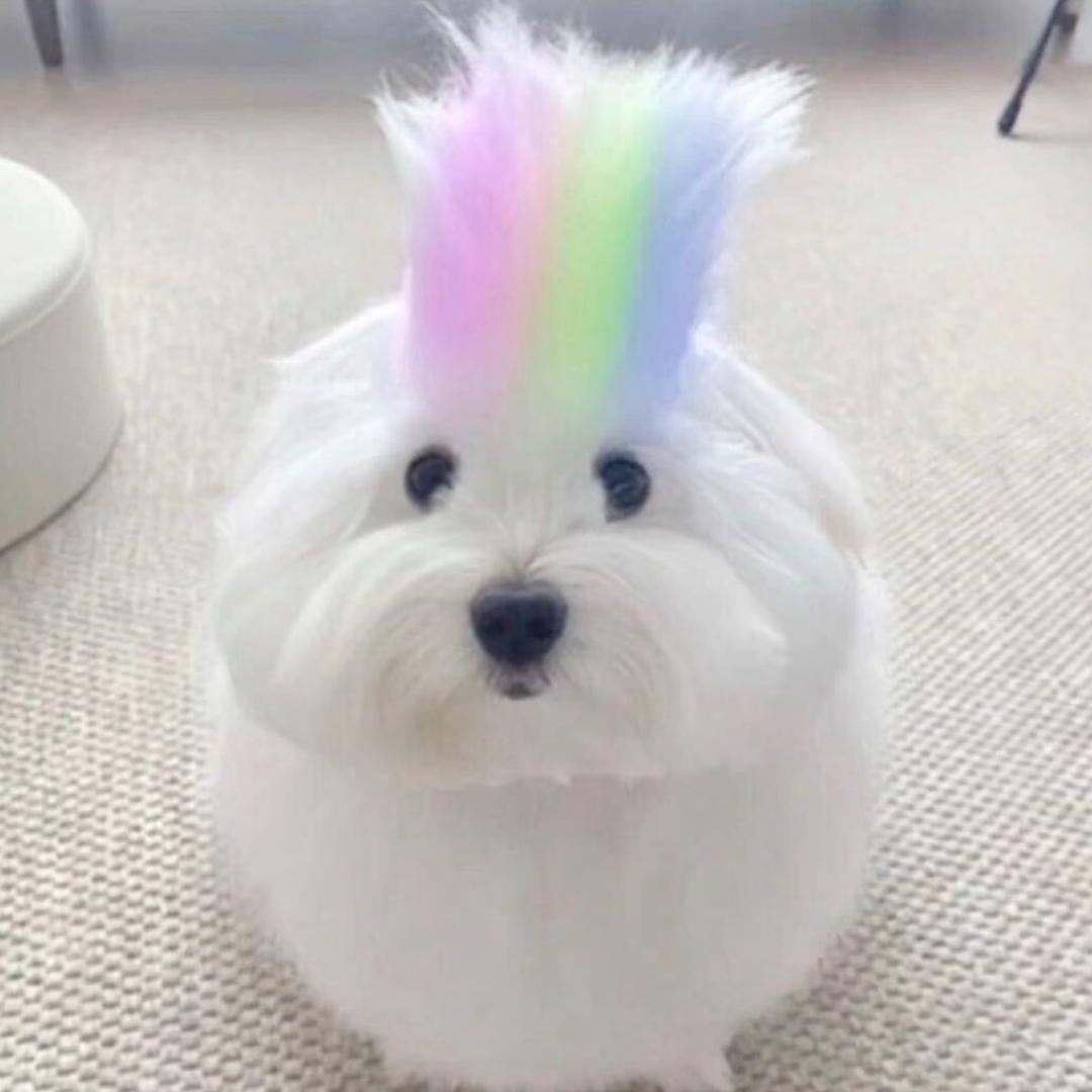 天真