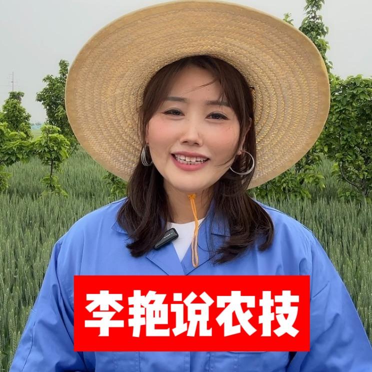 埃尔夫农资优选