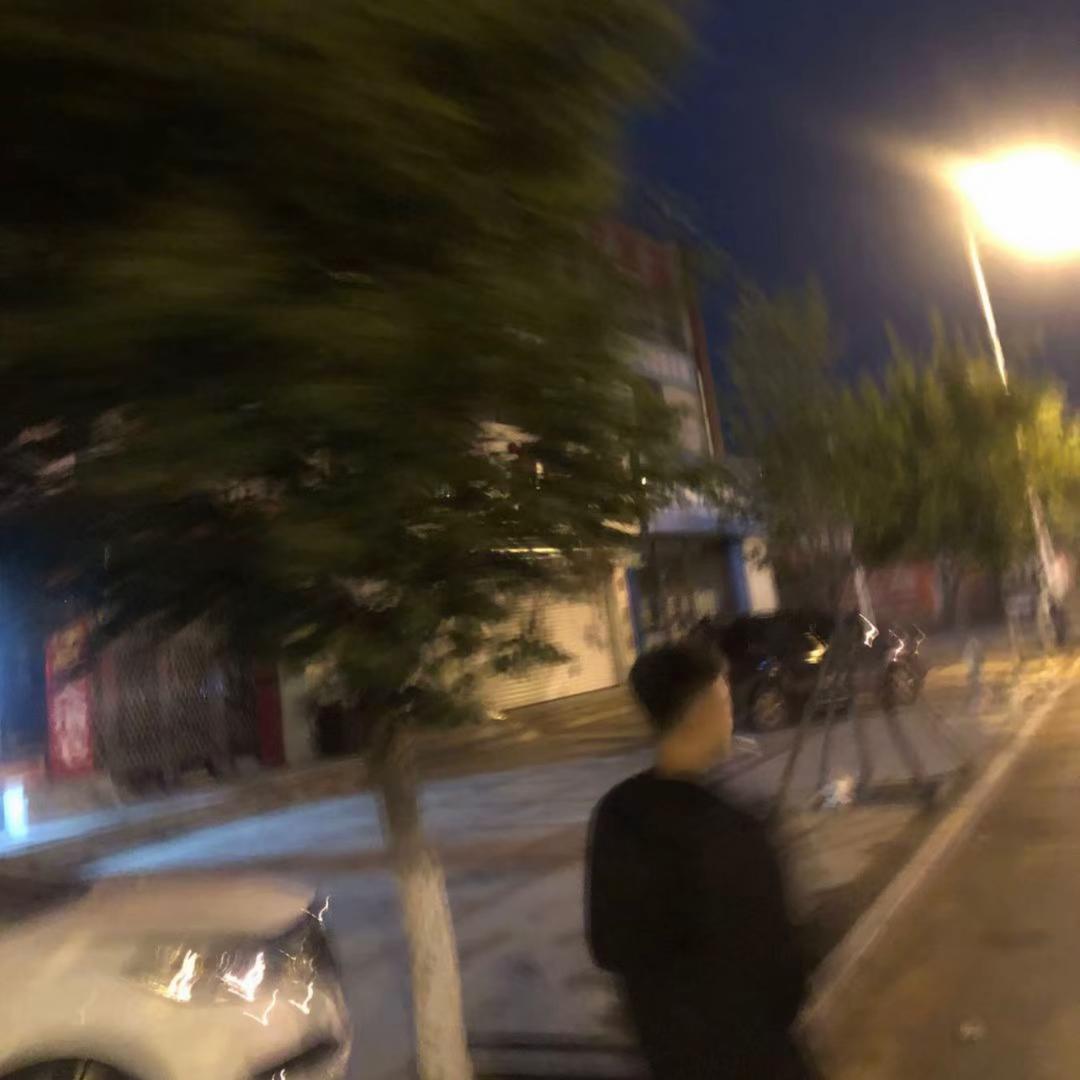 合鸟
