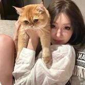 你的