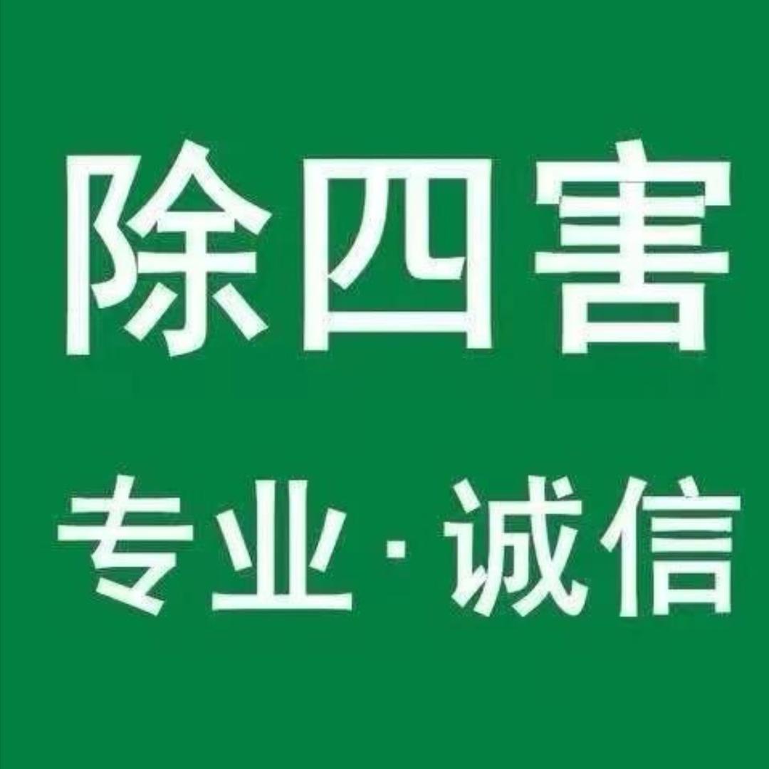灭虫一哥