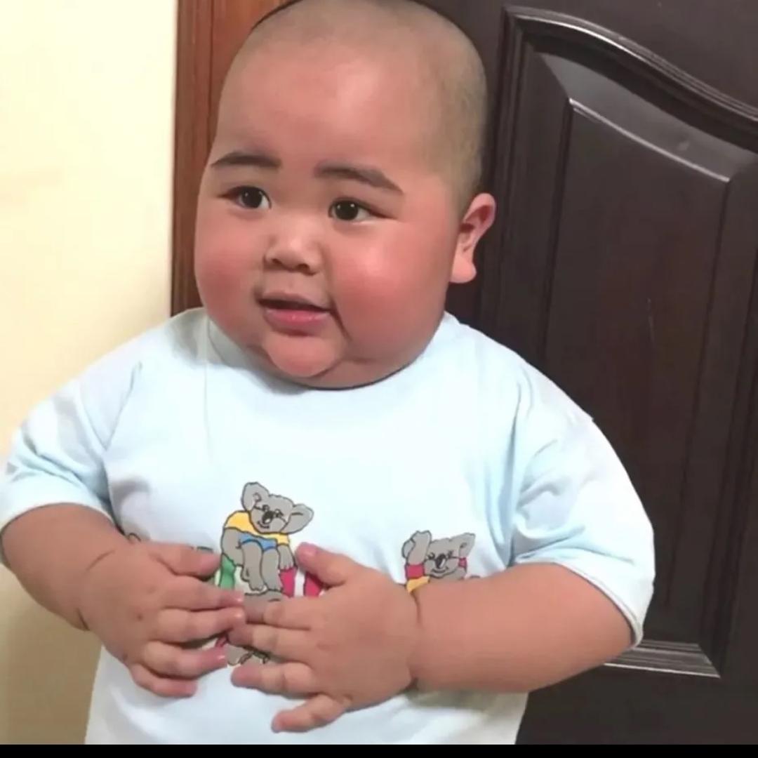 权是猪🐷