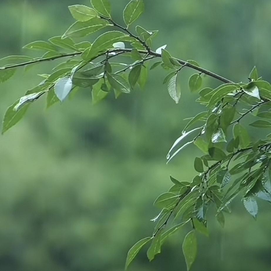 通风咨询工作室