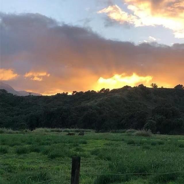 澳门🇲🇴乐乐