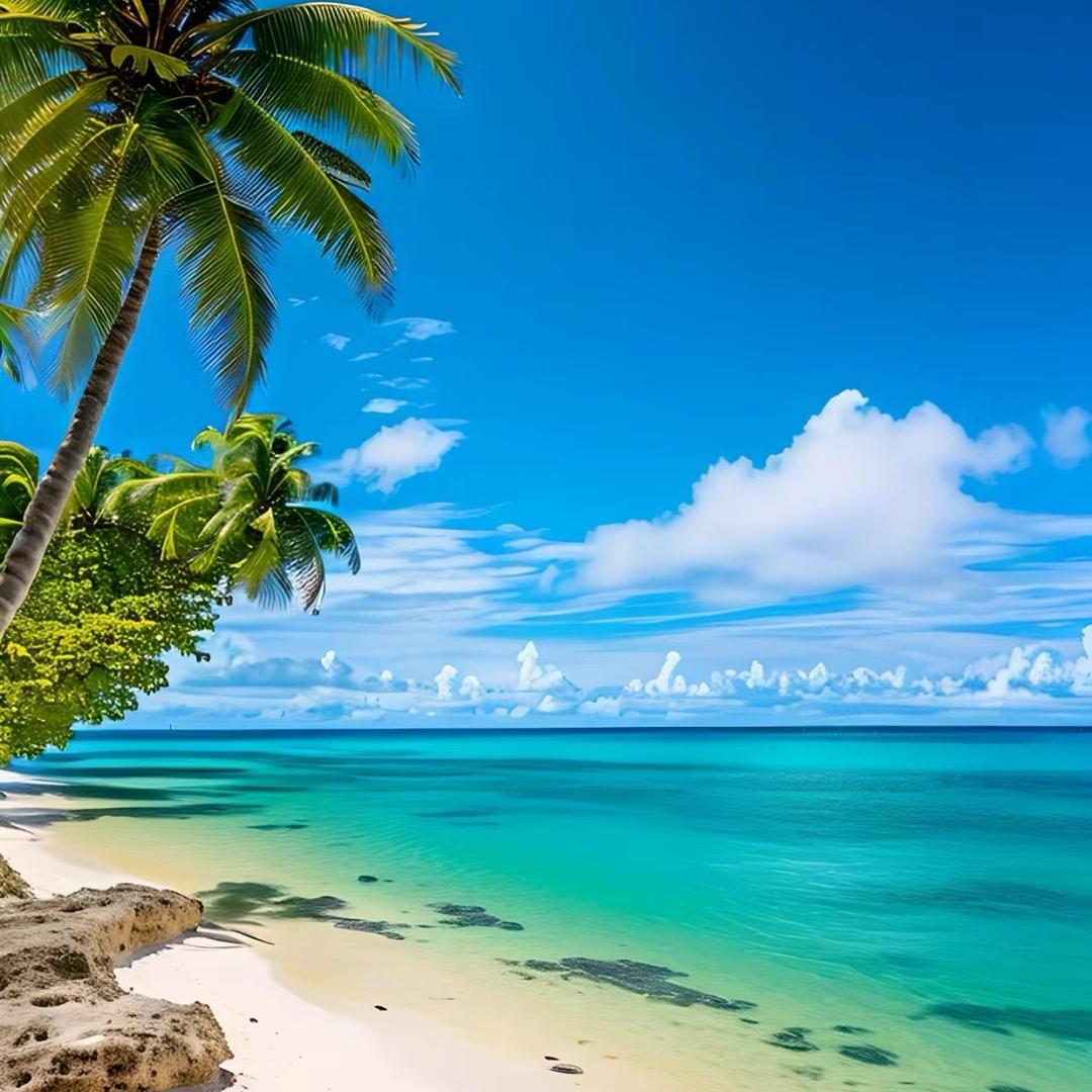 三金小子在北海